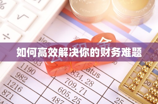 遵义如何高效解决你的财务难题
